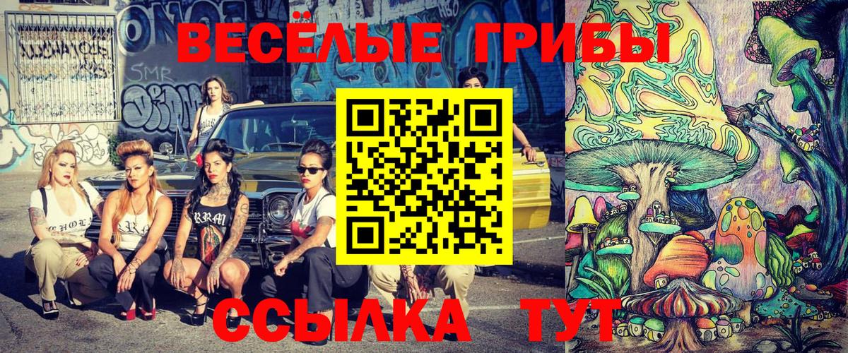 Псилоцибиновые грибы Psilocybine cubensis Кинель
