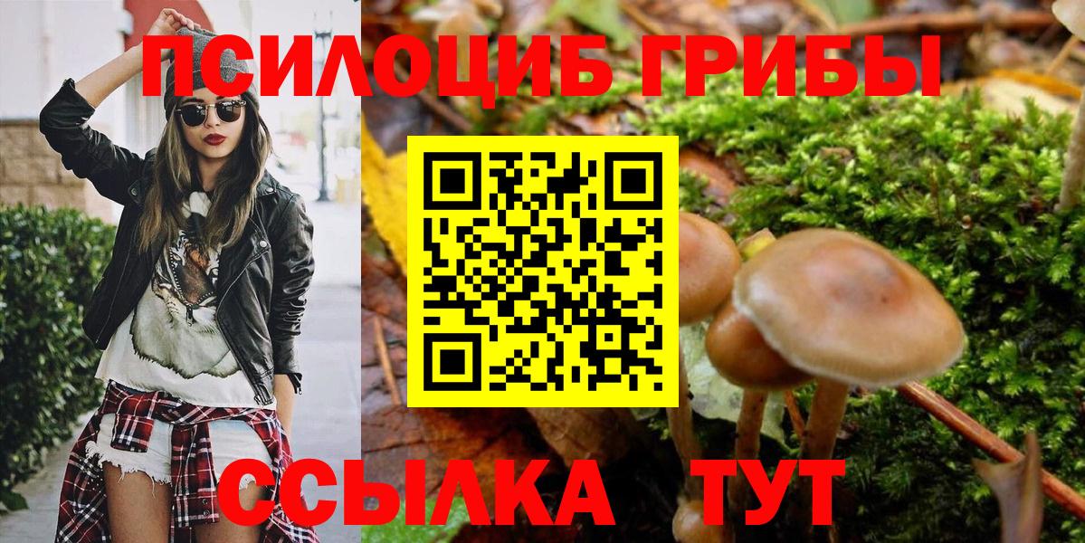 Псилоцибиновые грибы GOLDEN TEACHER  Галлюциногенные грибы ЛСД  Кинель  Вход с VPN 